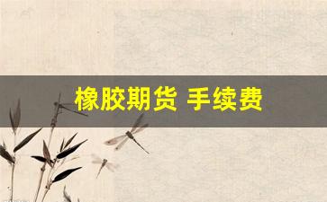橡胶期货 手续费(橡胶期货手续费12)_https://www.eamstsz.com_创业板_第1张